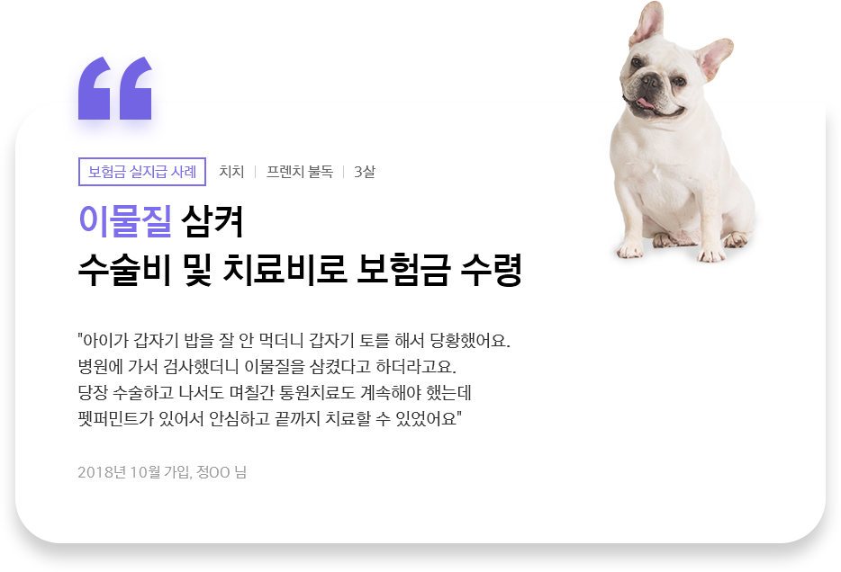 이물질 삼켜 수술비 및 치료비로 보험금 수령